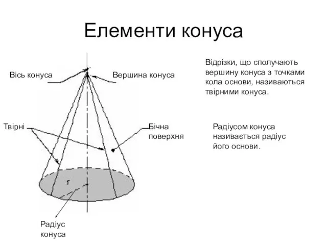 Елементи конуса Твірні Бічна поверхня Вісь конуса Вершина конуса Радіус конуса