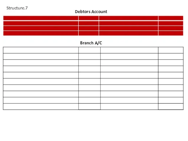 Branch A/C Debtors Account Structure.7