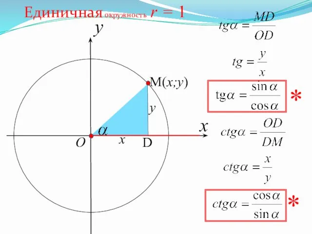 x Единичная окружность r = 1 y O x y