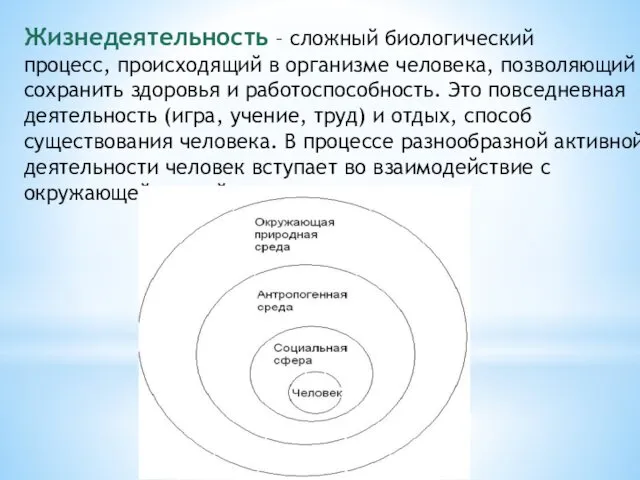 Жизнедеятельность – сложный биологический процесс, происходящий в организме человека, позволяющий сохранить