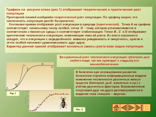 Графики на рисунке слева (рис.1) отображают теоретический и практический рост популяции