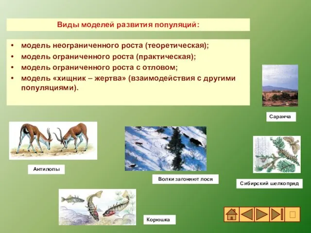 модель неограниченного роста (теоретическая); модель ограниченного роста (практическая); модель ограниченного роста