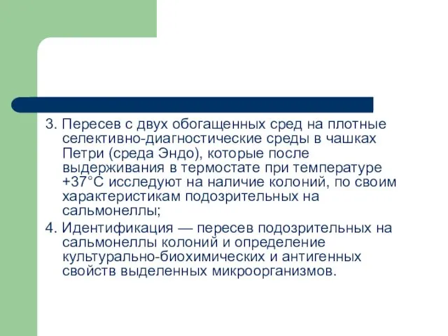 3. Пересев с двух обогащенных сред на плотные селективно-диагностические среды в