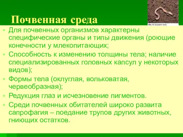 Почвенная среда Для почвенных организмов характерны специфические органы и типы движения