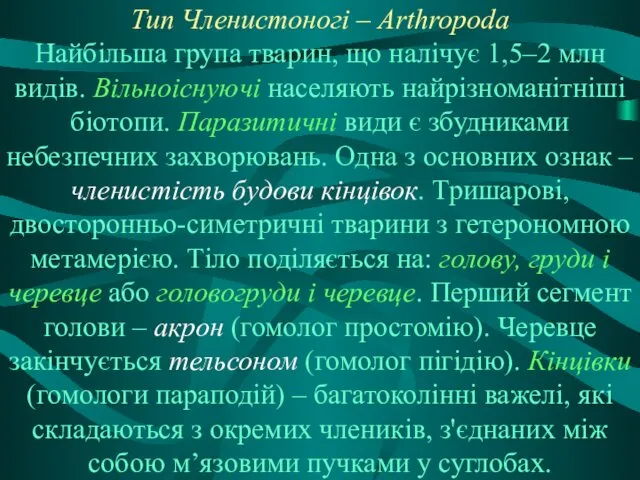 Тип Членистоногі – Arthropoda Найбільша група тварин, що налічує 1,5–2 млн