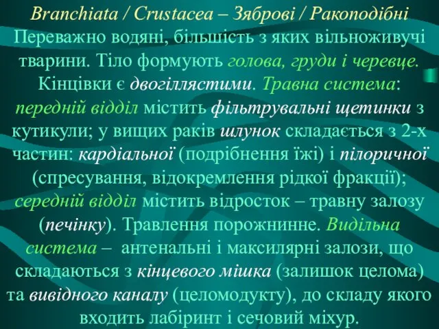 Branchiata / Crustacea – Зяброві / Ракоподібні Переважно водяні, більшість з