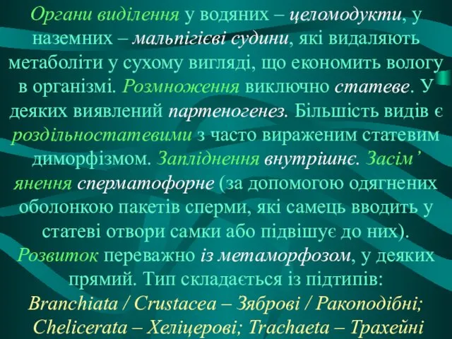 Органи виділення у водяних – целомодукти, у наземних – мальпігієві судини,