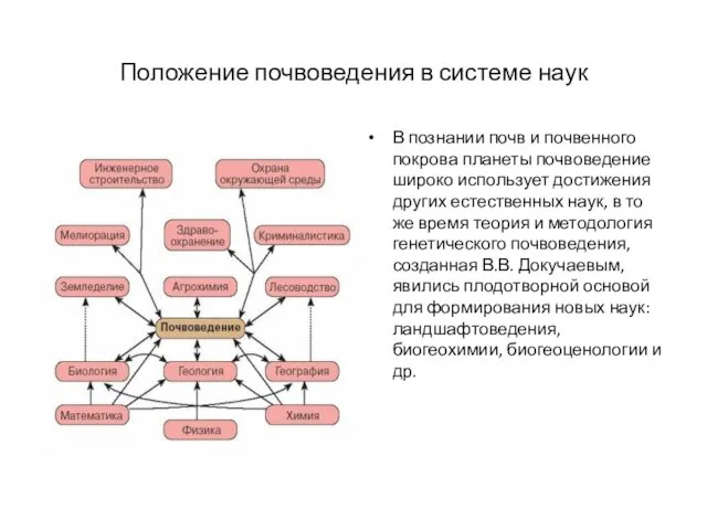 Положение почвоведения в системе наук В познании почв и почвенного покрова