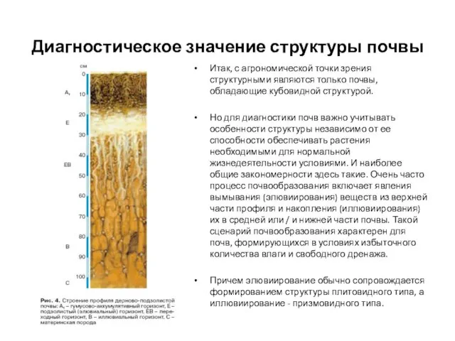 Диагностическое значение структуры почвы Итак, с агрономической точки зрения структурными являются