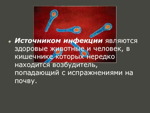 Источником инфекции являются здоровые животные и человек, в кишечнике которых нередко