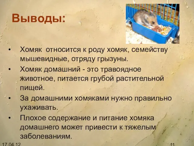 17.04.12 Выводы: Хомяк относится к роду хомяк, семейству мышевидные, отряду грызуны.