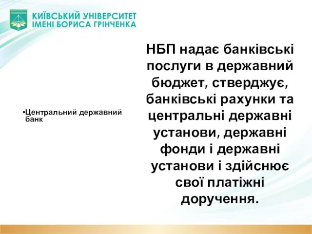 Центральний державний банк НБП надає банківські послуги в державний бюджет, стверджує,