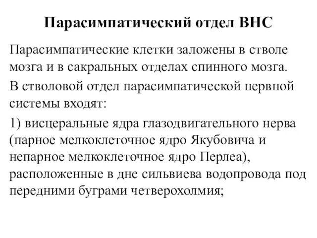 Парасимпатический отдел ВНС Парасимпатические клетки заложены в стволе мозга и в