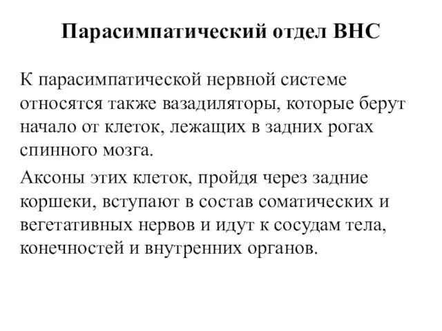 Парасимпатический отдел ВНС К парасимпатической нервной системе относятся также вазадиляторы, которые