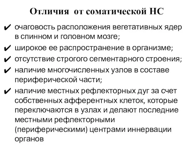 Отличия от соматической НС очаговость расположения вегетативных ядер в спинном и