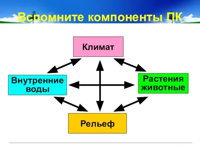 Вспомните компоненты ПК Что такое рельеф? Чем отличаются формы рельефа? Какие