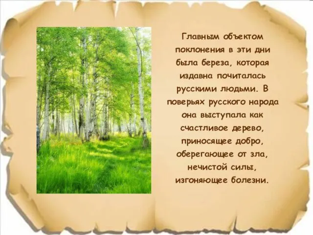 Главным объектом поклонения в эти дни была береза, которая издавна почиталась