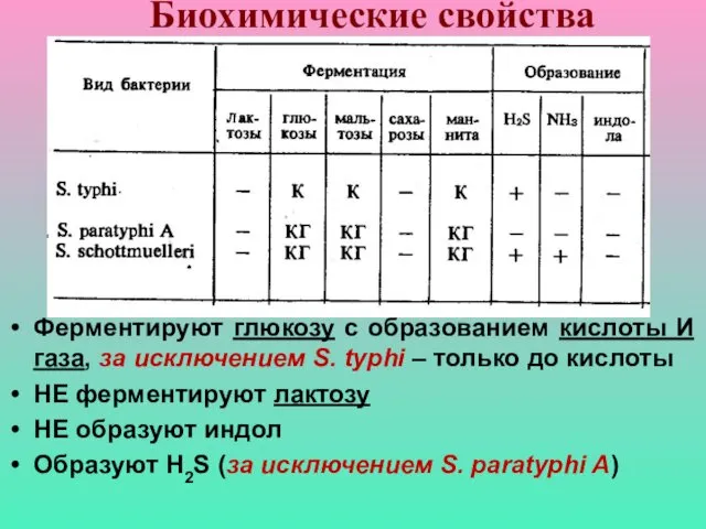 Биохимические свойства Ферментируют глюкозу с образованием кислоты И газа, за исключением