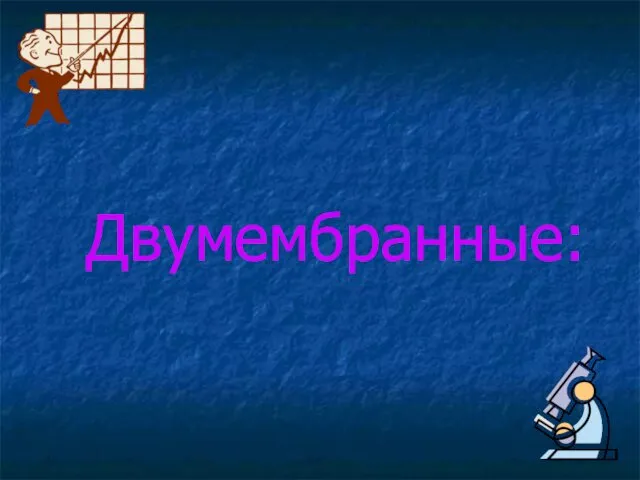 Двумембранные: