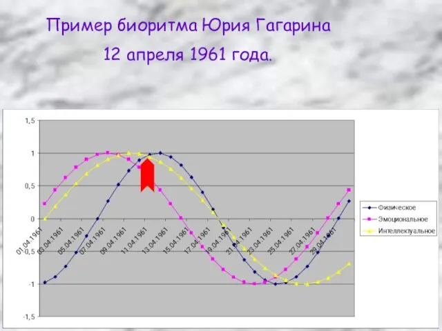 Пример биоритма Юрия Гагарина 12 апреля 1961 года.