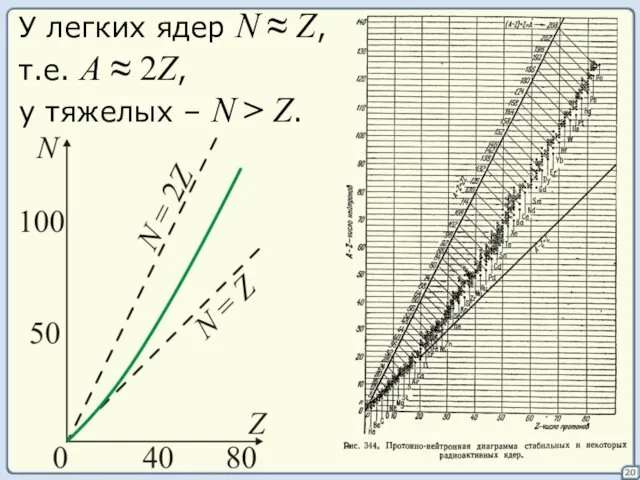 20 У легких ядер N ≈ Z, т.е. А ≈ 2Z,