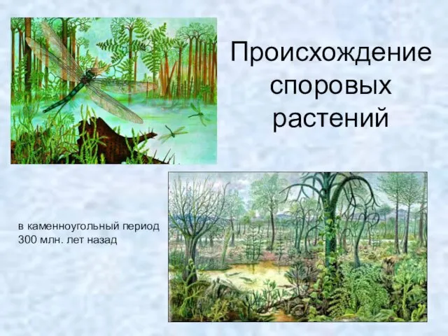 Происхождение споровых растений в каменноугольный период 300 млн. лет назад