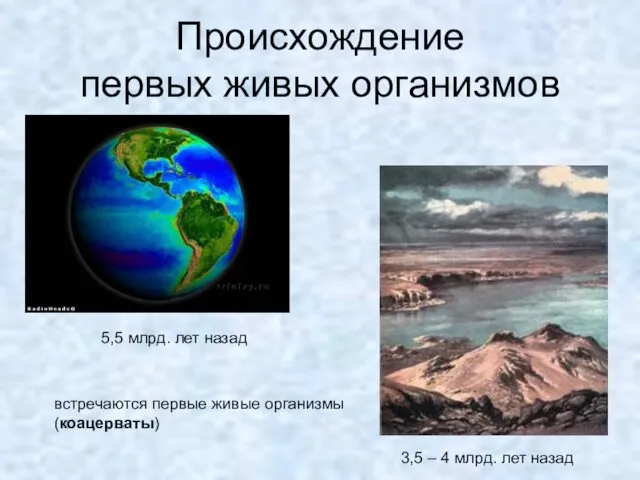 Происхождение первых живых организмов 5,5 млрд. лет назад 3,5 – 4