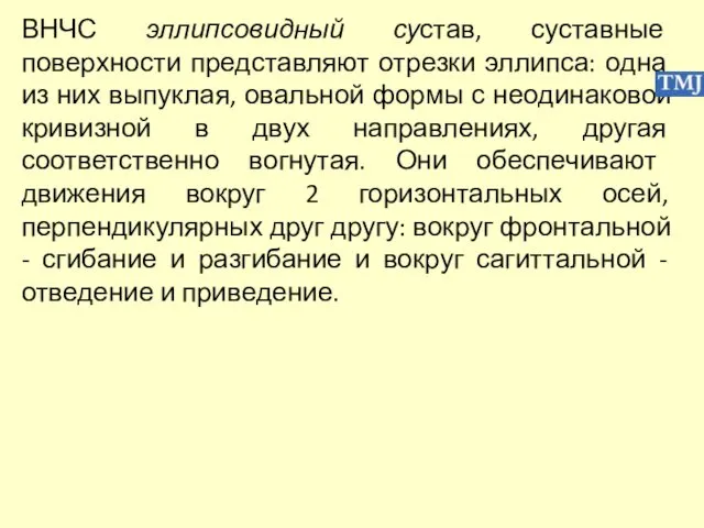 ВНЧС эллипсовидный сустав, суставные поверхности представляют отрезки эллипса: одна из них