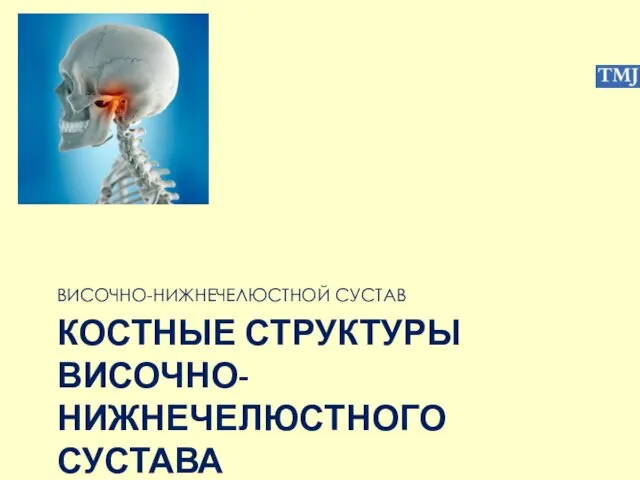 КОСТНЫЕ СТРУКТУРЫ ВИСОЧНО-НИЖНЕЧЕЛЮСТНОГО СУСТАВА ВИСОЧНО-НИЖНЕЧЕЛЮСТНОЙ СУСТАВ