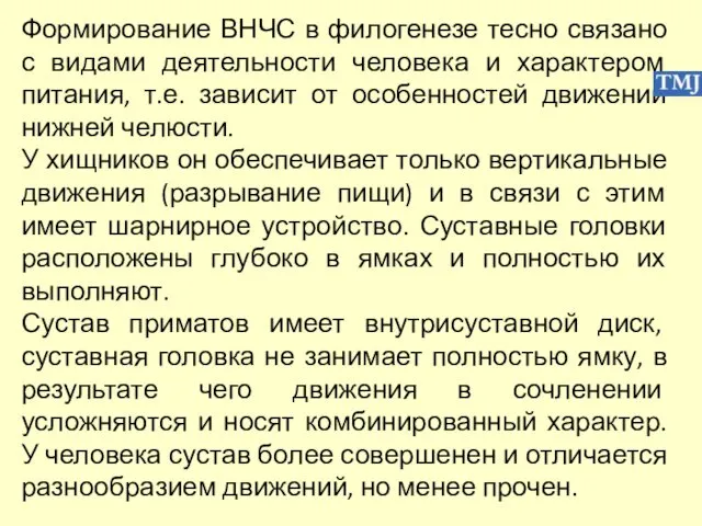 Формирование ВНЧС в филогенезе тесно связано с видами деятельности человека и