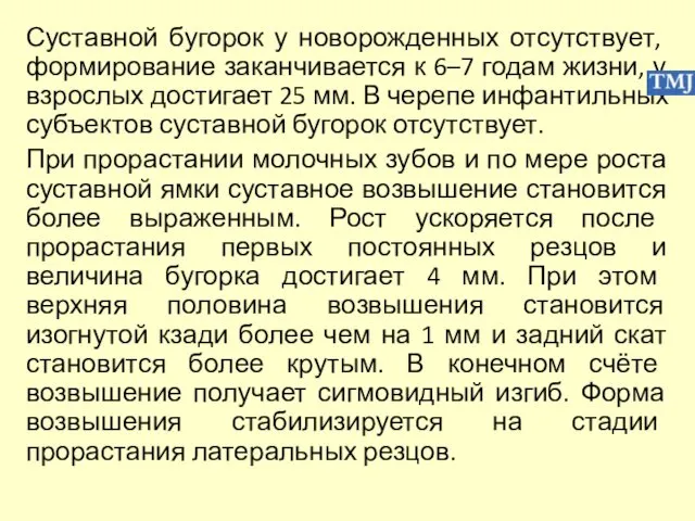 Суставной бугорок у новорожденных отсутствует, формирование заканчивается к 6–7 годам жизни,