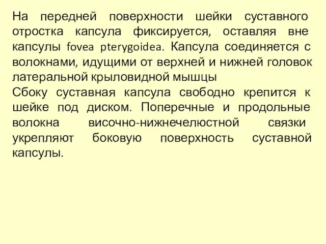 На передней поверхности шейки суставного отростка капсула фиксируется, оставляя вне капсулы