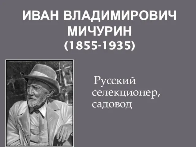 ИВАН ВЛАДИМИРОВИЧ МИЧУРИН (1855-1935) Русский селекционер, садовод