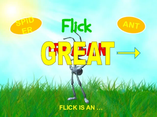 FLICK IS AN … Flick ANT SPIDER TRY AGAIN! GREAT