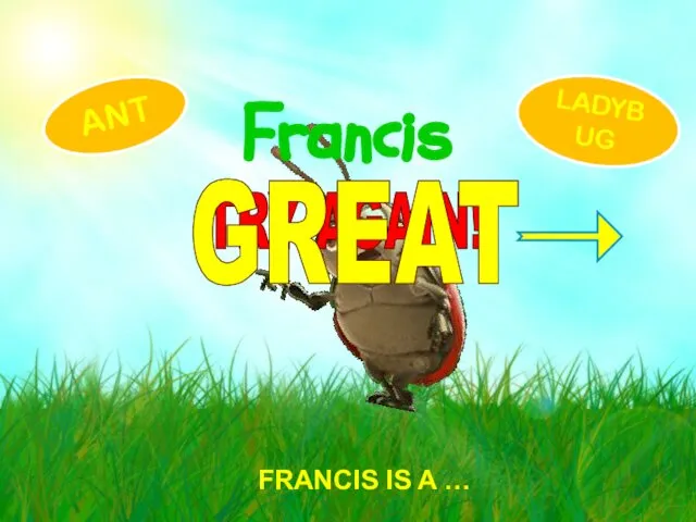 FRANCIS IS A … Francis ANT LADYBUG TRY AGAIN! GREAT