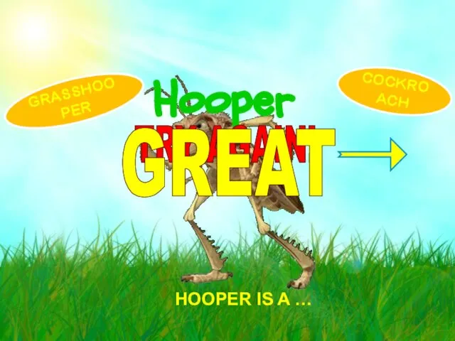 HOOPER IS A … Hooper COCKROACH GRASSHOOPER TRY AGAIN! GREAT