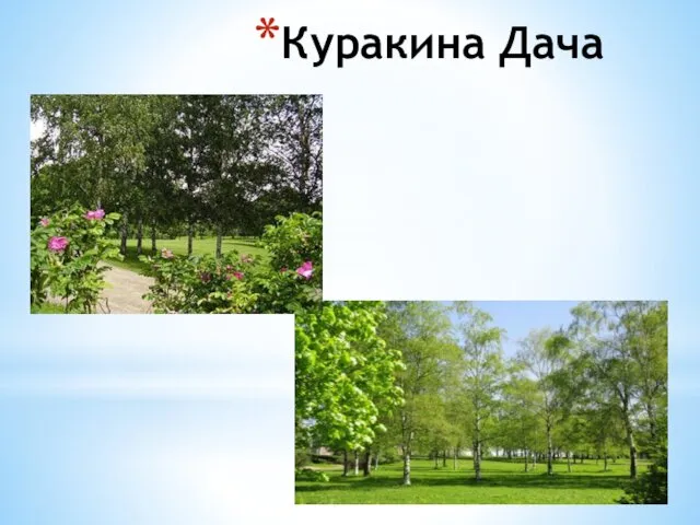 Куракина Дача