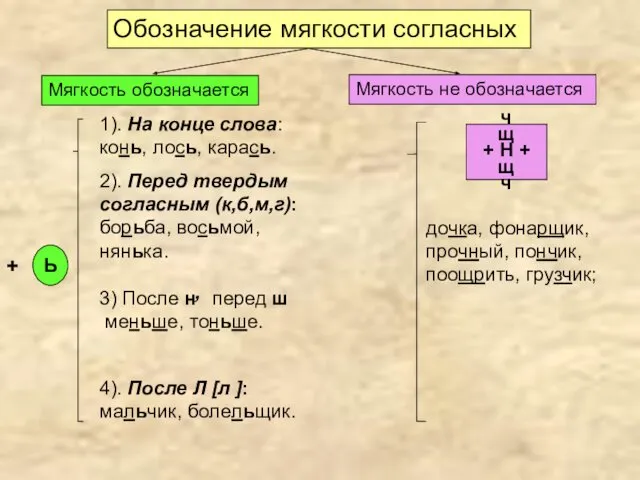 Обозначение мягкости согласных Мягкость обозначается Мягкость не обозначается + Ь 1).