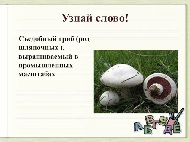 Узнай слово! Съедобный гриб (род шляпочных ), выращиваемый в промышленных масштабах