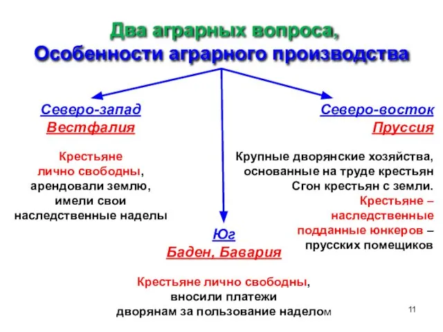 Два аграрных вопроса, Особенности аграрного производства Северо-запад Вестфалия Крестьяне лично свободны,