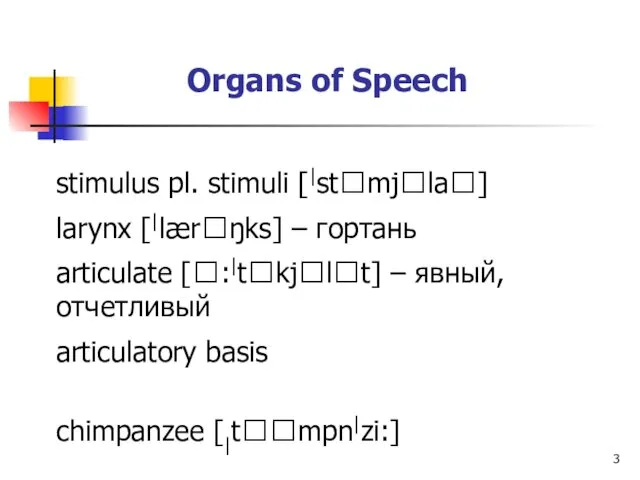 Organs of Speech stimulus pl. stimuli [|stmjla] larynx [|lærŋks] – гортань