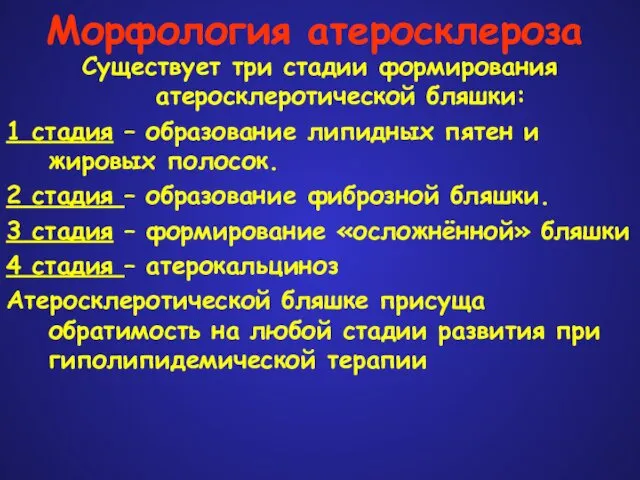 Морфология атеросклероза Существует три стадии формирования атеросклеротической бляшки: 1 стадия –