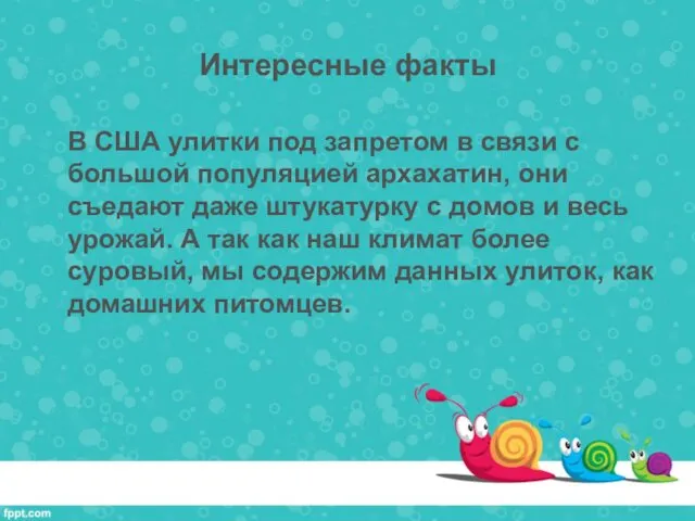 Интересные факты В США улитки под запретом в связи с большой