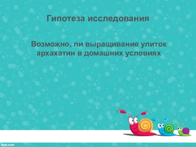 Гипотеза исследования Возможно, ли выращивание улиток архахатин в домашних условиях