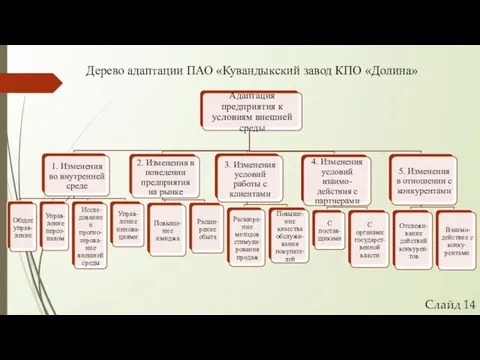 Дерево адаптации ПАО «Кувандыкский завод КПО «Долина» Слайд 14