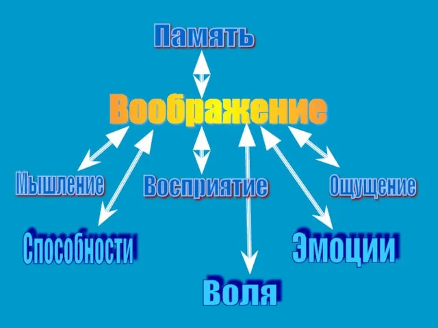 Воображение Память Ощущение Мышление Воля Способности Эмоции Восприятие