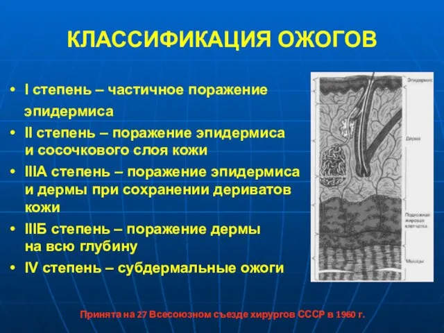 КЛАССИФИКАЦИЯ ОЖОГОВ I степень – частичное поражение эпидермиса II степень –