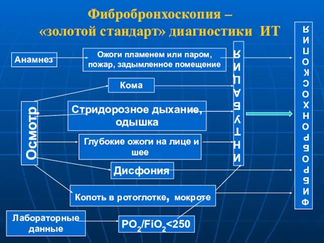 Фибробронхоскопия – «золотой стандарт» диагностики ИТ Анамнез Осмотр Лабораторные данные Ожоги