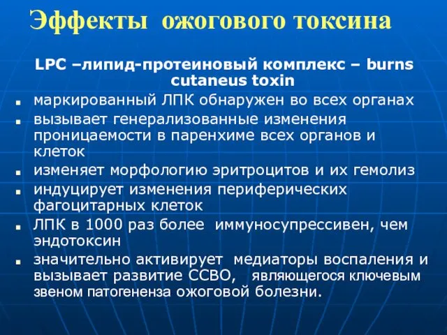 Эффекты ожогового токсина LPС –липид-протеиновый комплекс – burns cutaneus toxin маркированный