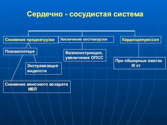 Сердечно - сосудистая система Снижение преднагрузки Увеличение постнагрузки Кардиодепрессия При обширных